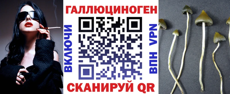 mega   Карталы  Галлюциногенные грибы GOLDEN TEACHER 
